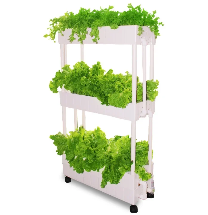 Hydroponic Farming Agriculture - Вертикальная гидропонная система для выращивания салата