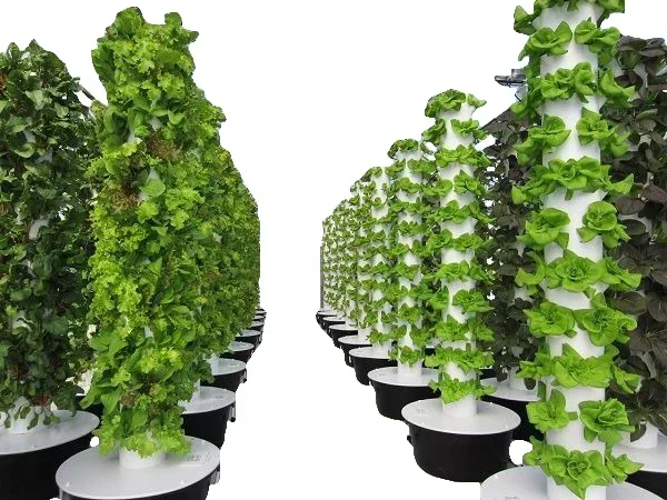 Сельскохозяйственные теплицы,  – обзор и цена Hydroponic Farming Agriculture