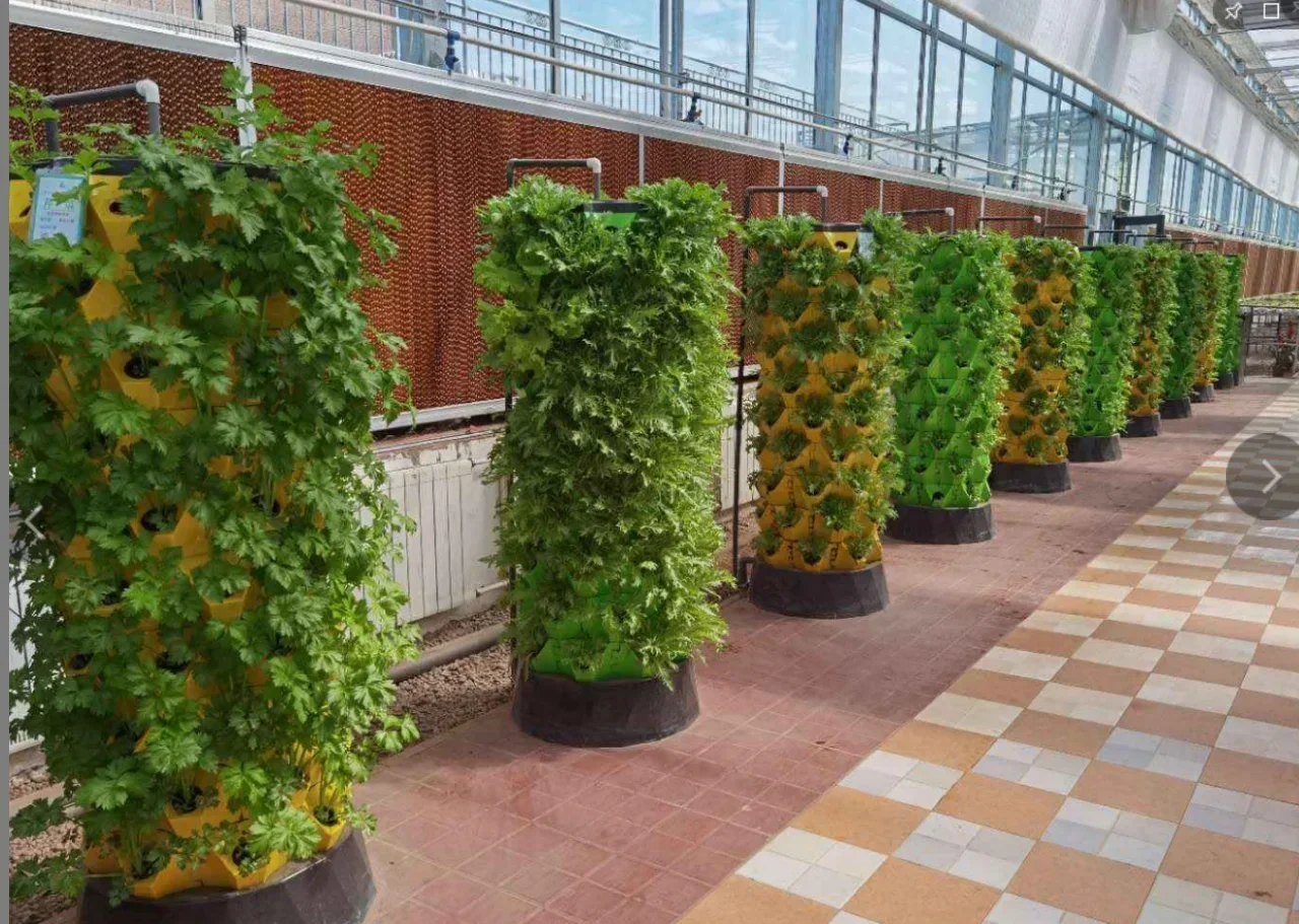 Сельскохозяйственные теплицы,  – обзор и цена Hydroponic Farming Agriculture
