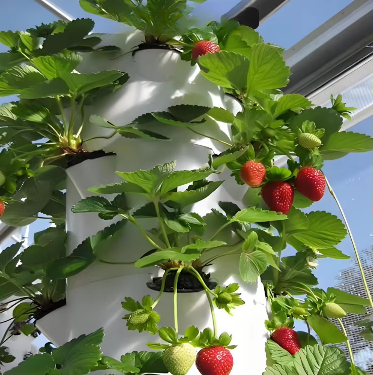 Модульная гидропонная система  – обзор и цена Hydroponic Farming Agriculture