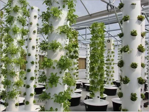 Высококачественная сельскохозя – обзор и цена Hydroponic Farming Agriculture