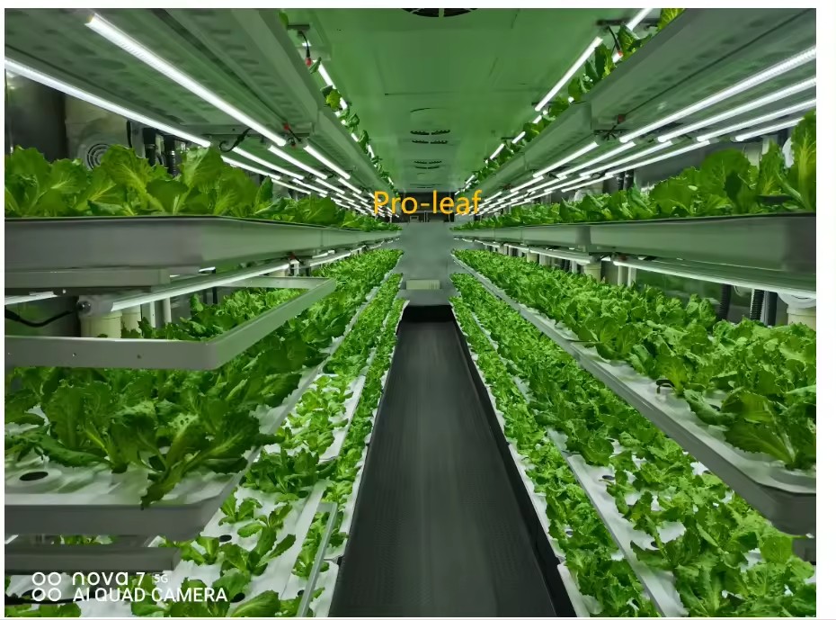 f Теплица Сельскохозяйственное – обзор и цена Hydroponic Farming Agriculture