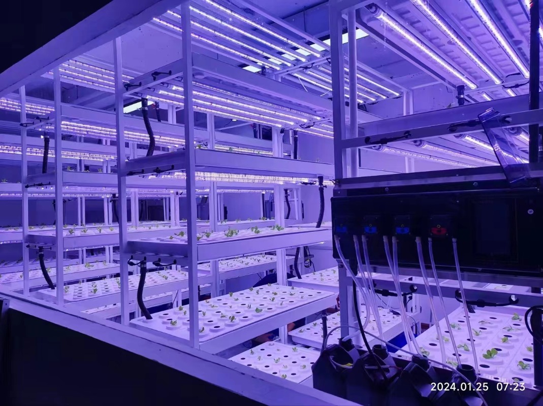 Небольшая вертикальная гидропо – обзор и цена Hydroponic Farming Agriculture