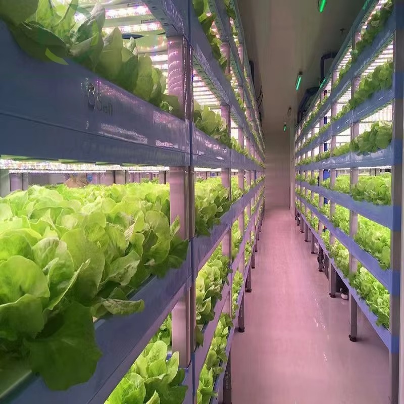 Индивидуальные сельскохозяйств – обзор и цена Hydroponic Farming Agriculture