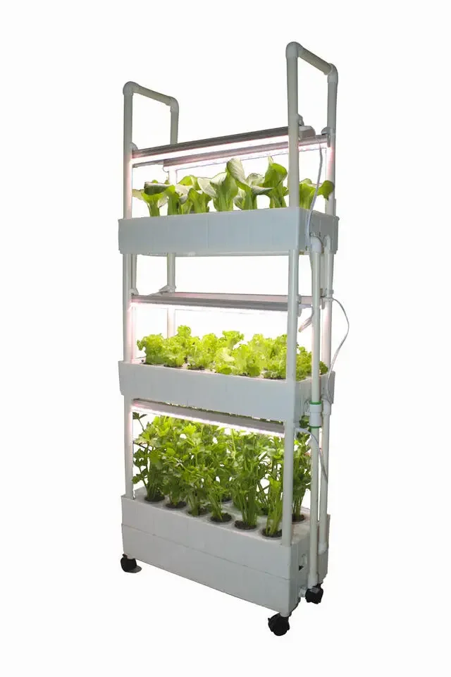 Вертикальная гидропонная систе – обзор и цена Hydroponic Farming Agriculture