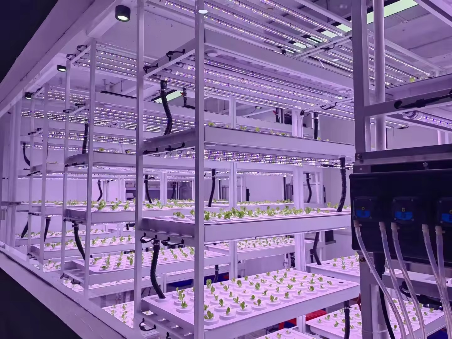 Вертикальная гидропонная башен – обзор и цена Hydroponic Farming Agriculture