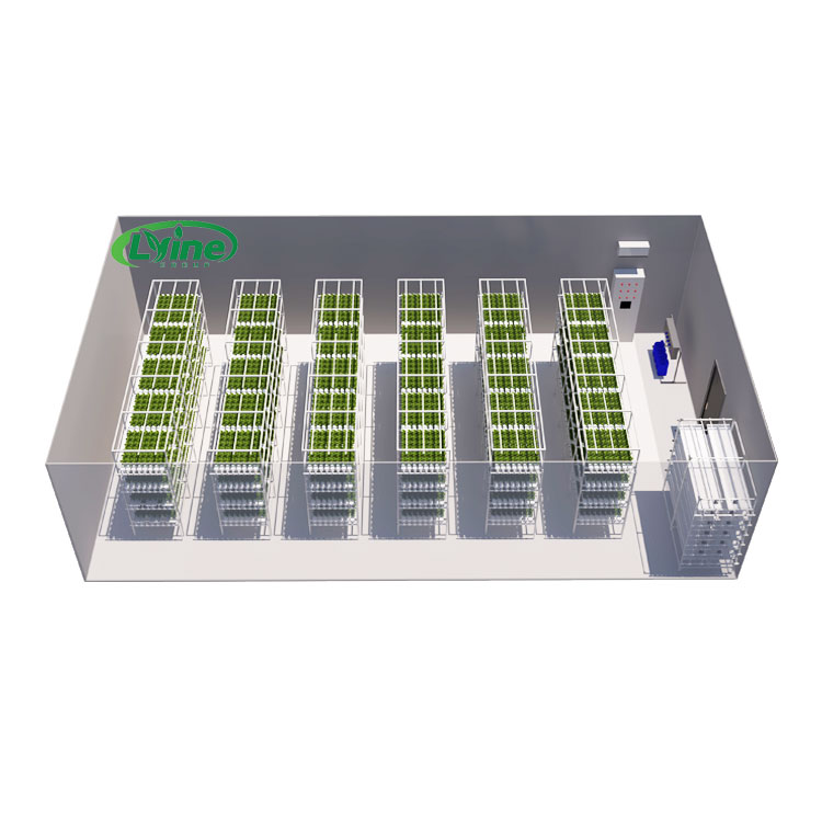 Сельскохозяйственные теплицы С – обзор и цена Hydroponic Farming Agriculture
